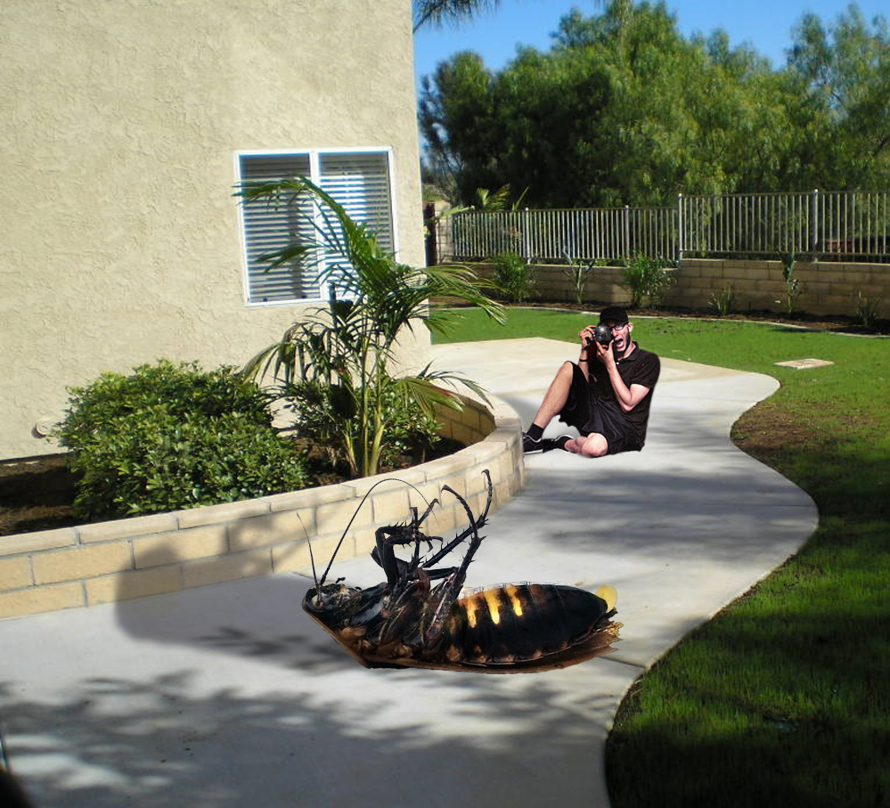 Design Photoshop par tonyman1106 pour DesignCrowd (Community Contests) | Design #8938252