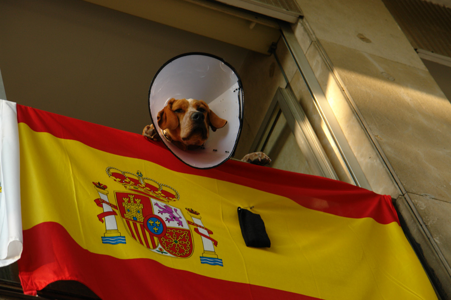 Photography by maymendo for DesignCrowd (Community Contests) | Design #8940103