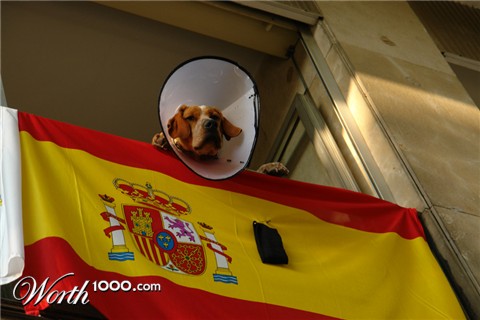 Photography by maymendo