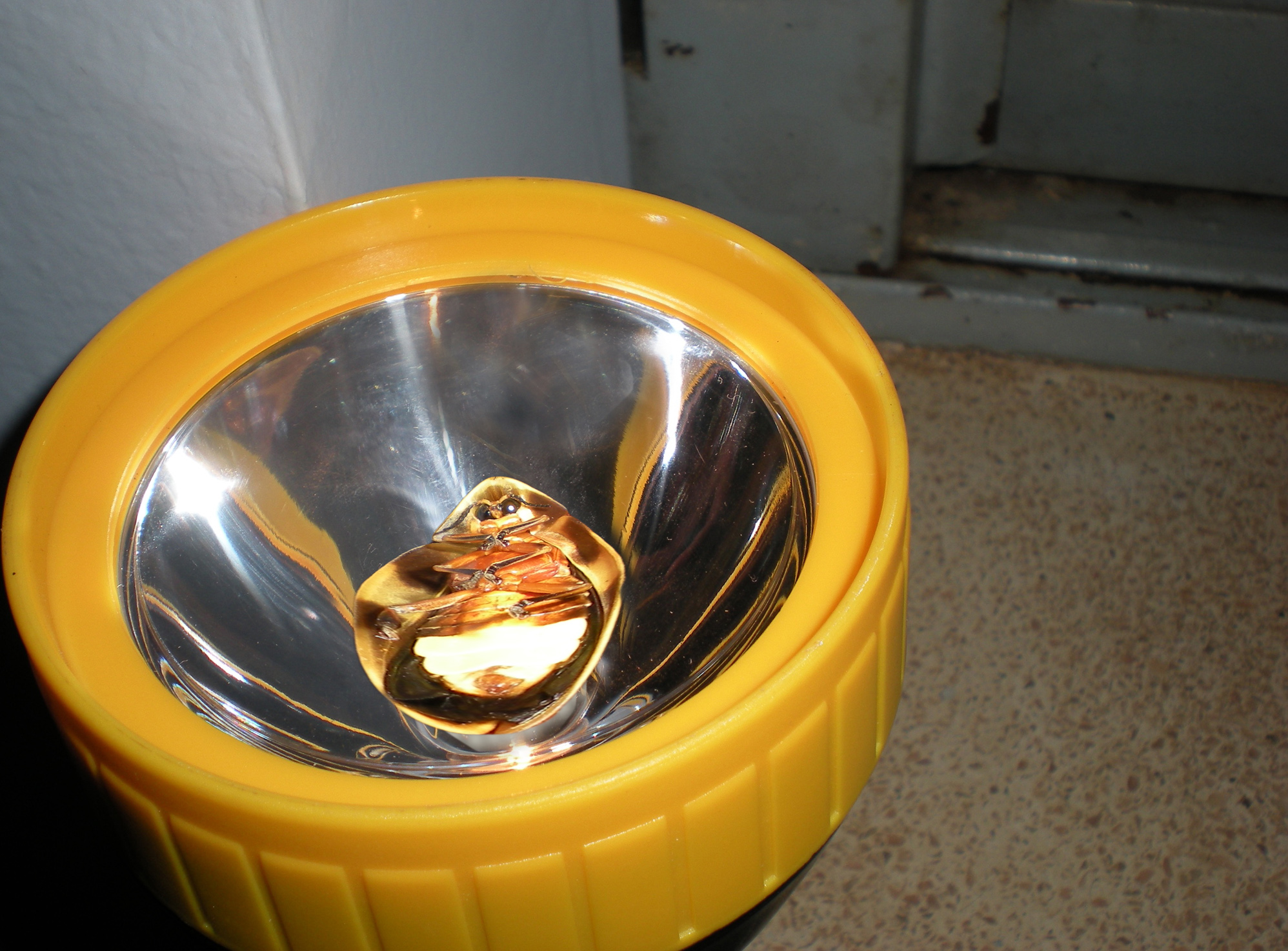 Diseño de Photoshop por TRANSCENDENTalMAN para DesignCrowd (Community Contests) | Diseño #8938887