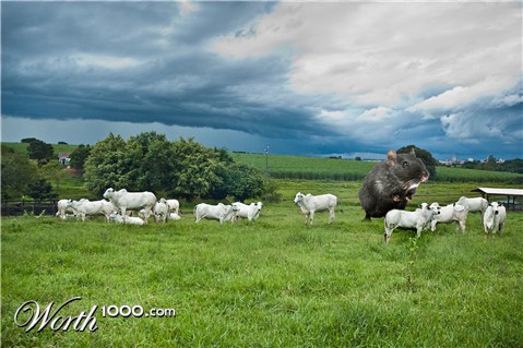 Photoshop Design by swichone