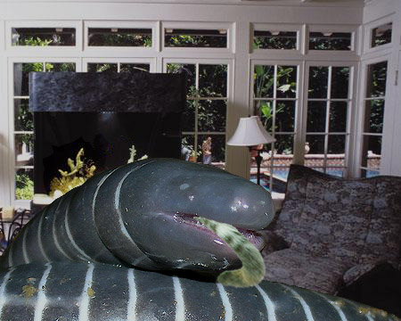 Photoshop Design by polypore for DesignCrowd (Community Contests) | Design #8938344