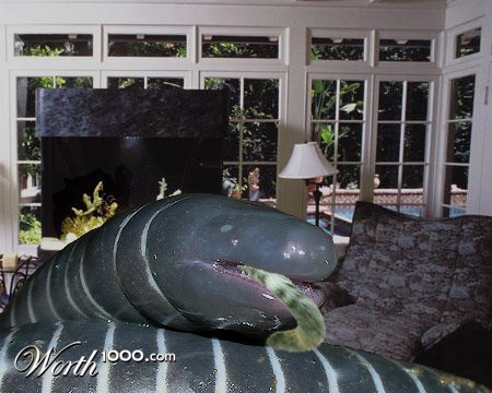 Photoshop Design by polypore