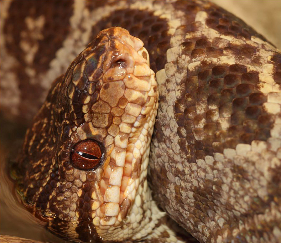 Photography by Rouwkema for DesignCrowd (Community Contests) | Design #8940052