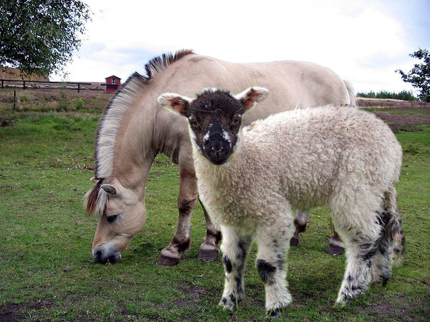 Photoshop Design by chohanic for DesignCrowd (Community Contests) | Design #8938329