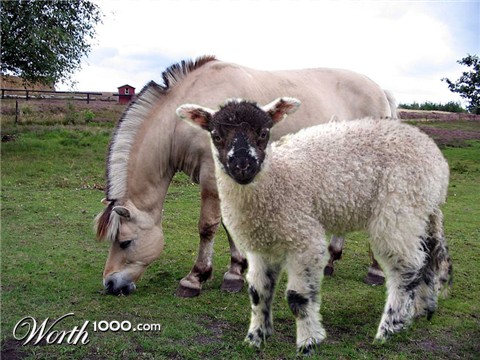 Photoshop Design by chohanic