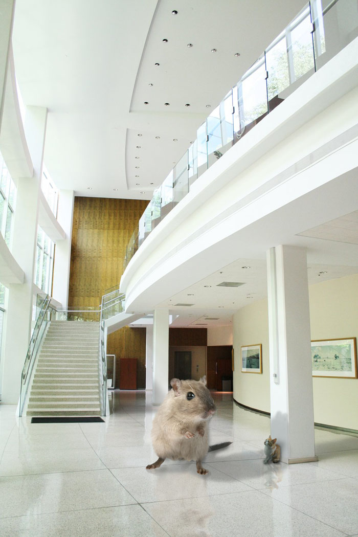 Diseño de Photoshop por BillyBuche para DesignCrowd (Community Contests) | Diseño #8938415