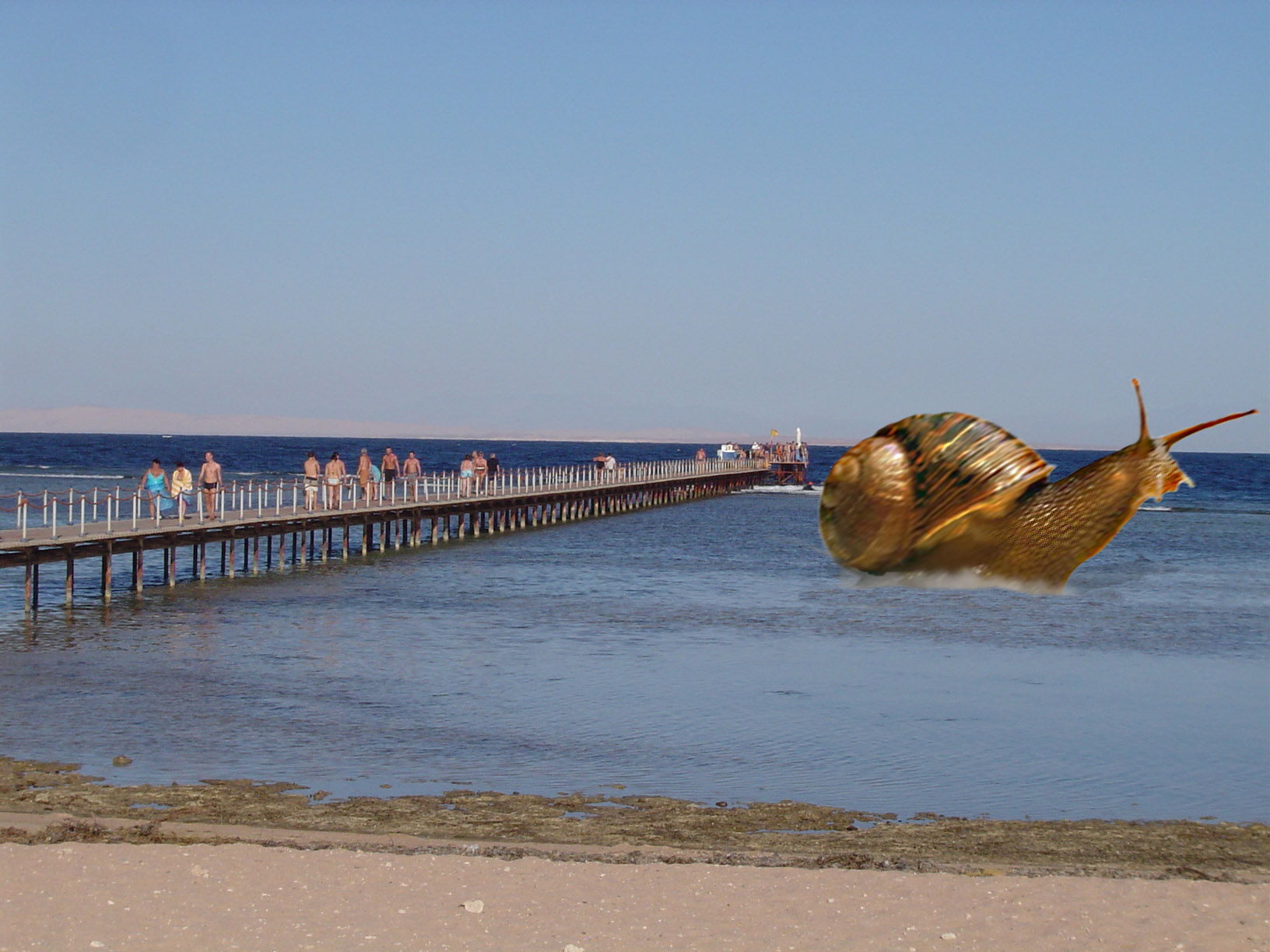 Photoshop-Design von frank1956 für DesignCrowd (Community Contests) | Design #8938409