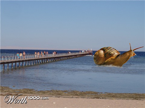 Photoshop Design by frank1956