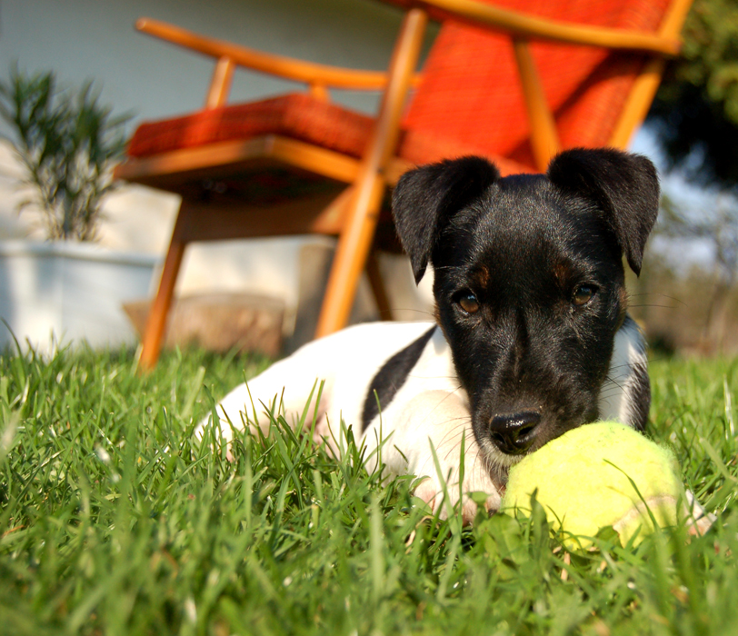 Fotografía por tlacenkar para DesignCrowd (Community Contests) | Diseño #8940204