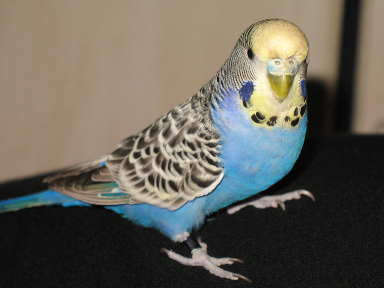 Photography by FloydRose for DesignCrowd (Community Contests) | Design #8940243