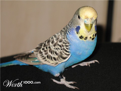 Photography by FloydRose