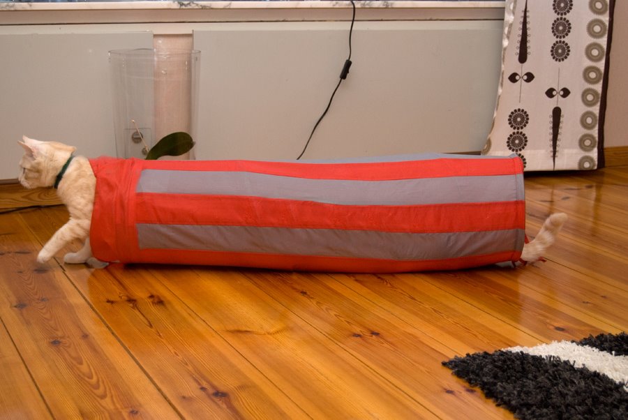 Photoshop Design by miccar for DesignCrowd (Community Contests) | Design #8938284