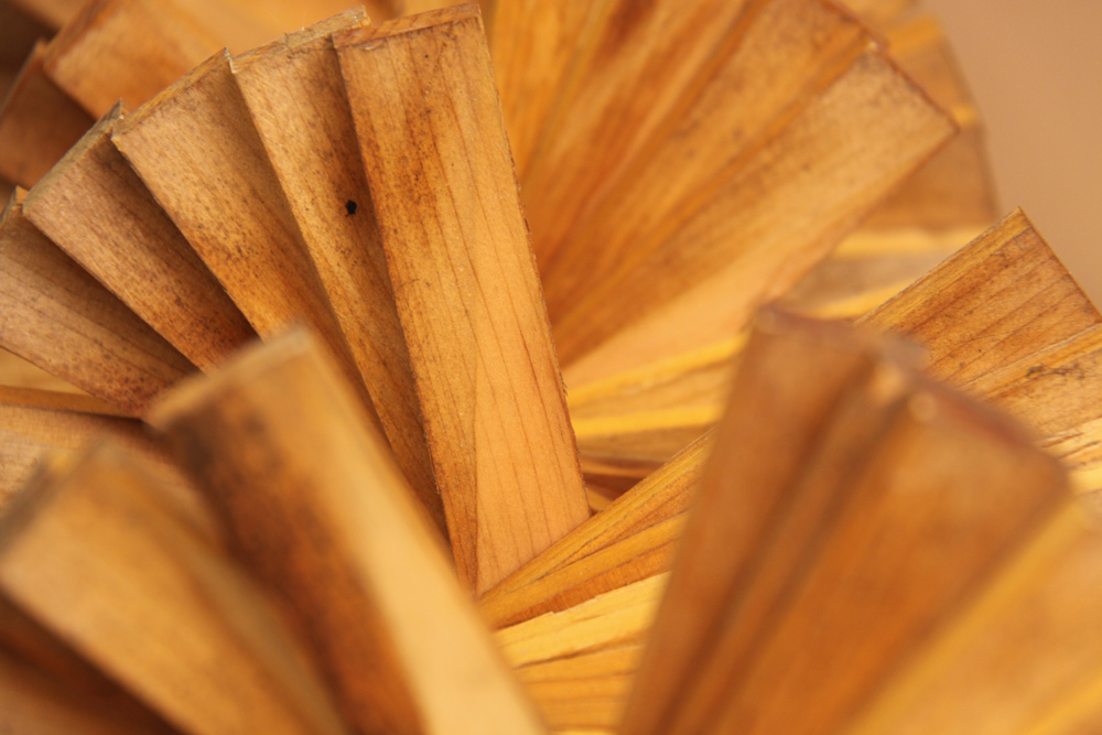 Fotografía por mindy3051 para DesignCrowd (Community Contests) | Diseño #8936865