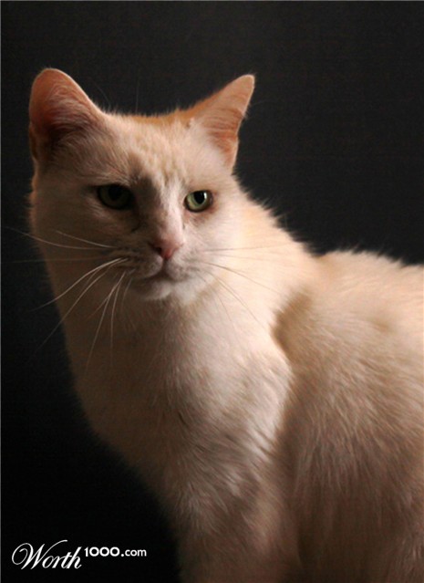 Photography by mindy3051