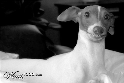 Photography by ecopper