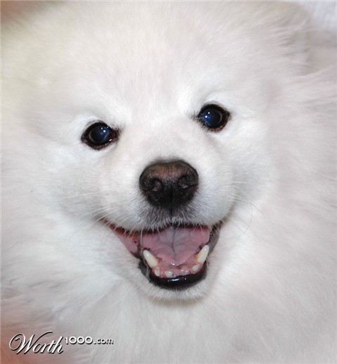 Photography by mangoslushy