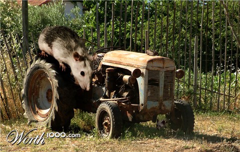 Photoshop Design by now4y01