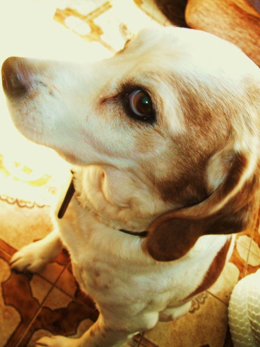 Fotografía por perseas77 para DesignCrowd (Community Contests) | Diseño #8940228