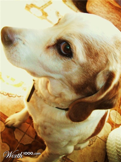 Photography by perseas77