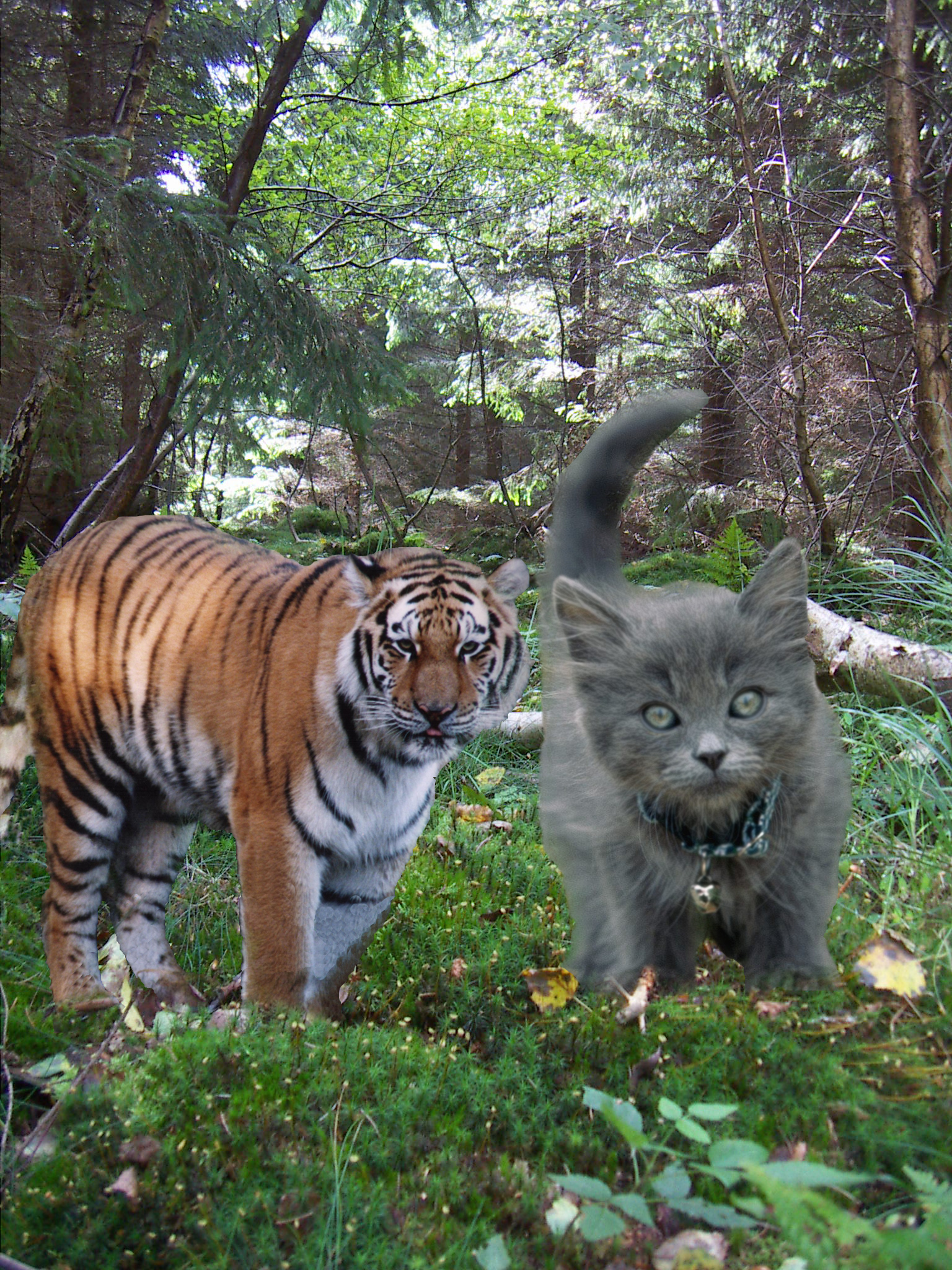 Diseño de Photoshop por blazer21 para DesignCrowd (Community Contests) | Diseño #8938367