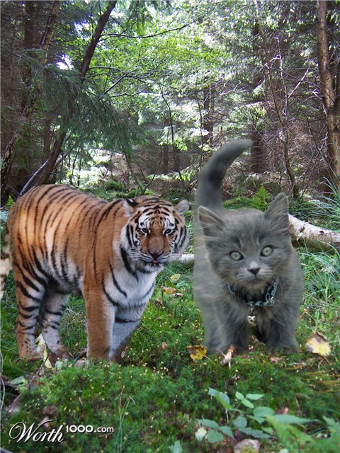 Photoshop Design by blazer21