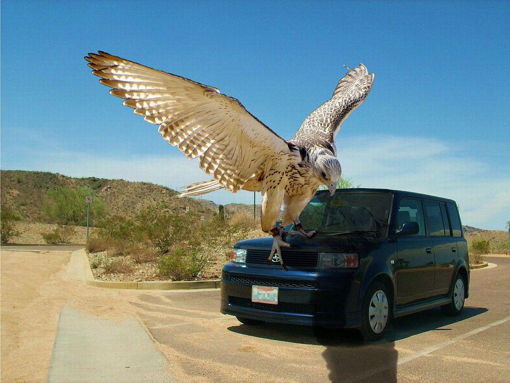 Photoshop Design by Snakepit099 for DesignCrowd (Community Contests) | Design #8938445