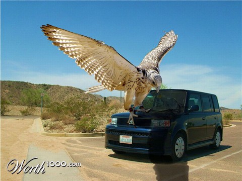 Photoshop Design by Snakepit099