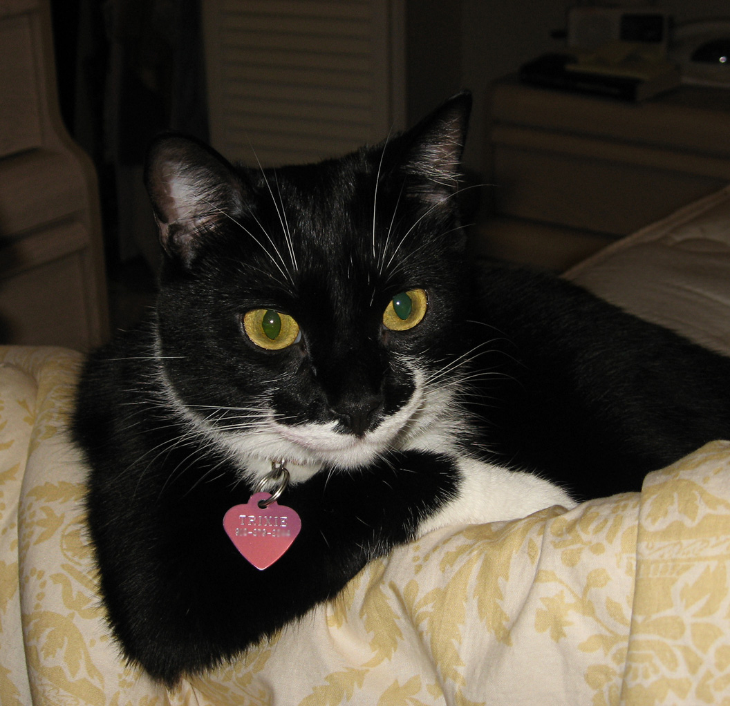 Fotografie von Rubees für DesignCrowd (Community Contests) | Design #8940194