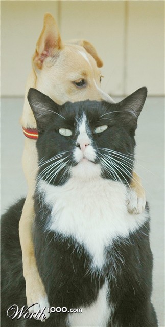 Photography by Larvice