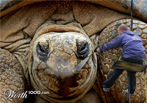 Photoshop Design by snakebit