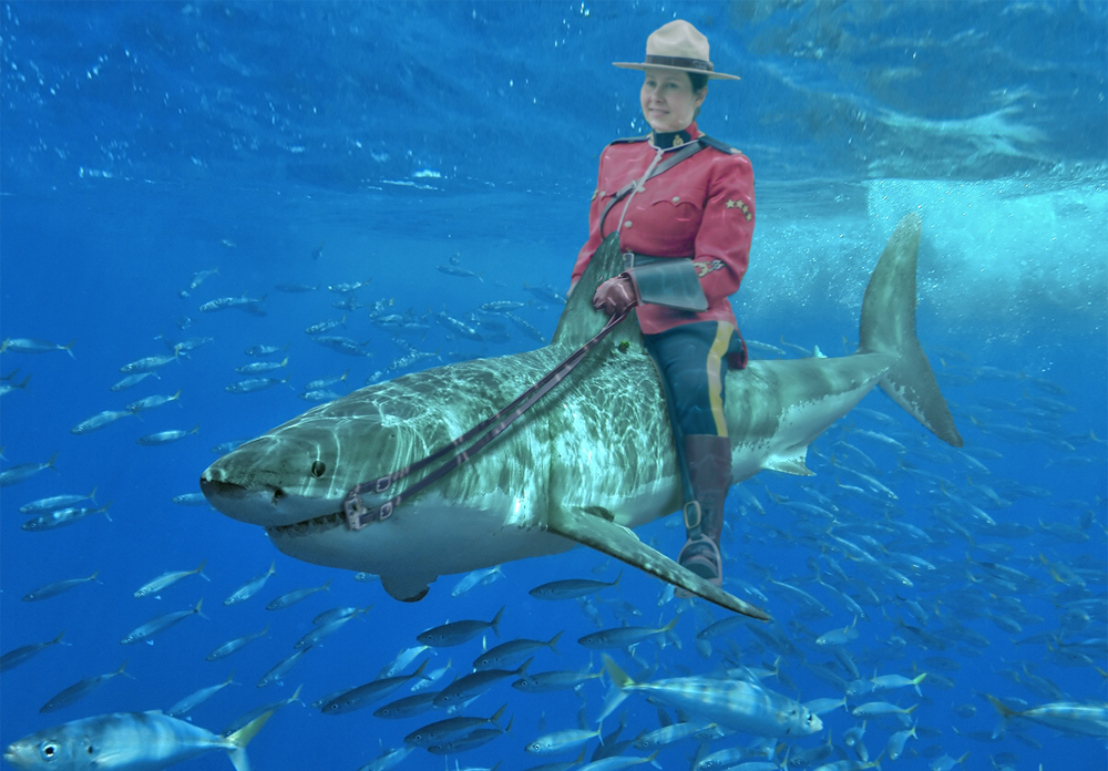 Photoshop Design by bicyclewilli for DesignCrowd (Community Contests) | Design #8939628