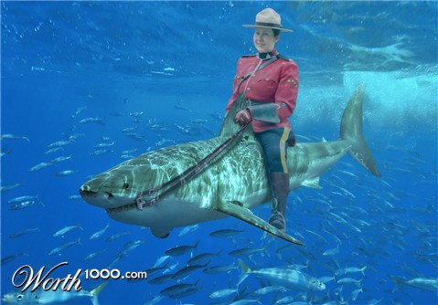 Photoshop Design by bicyclewilli