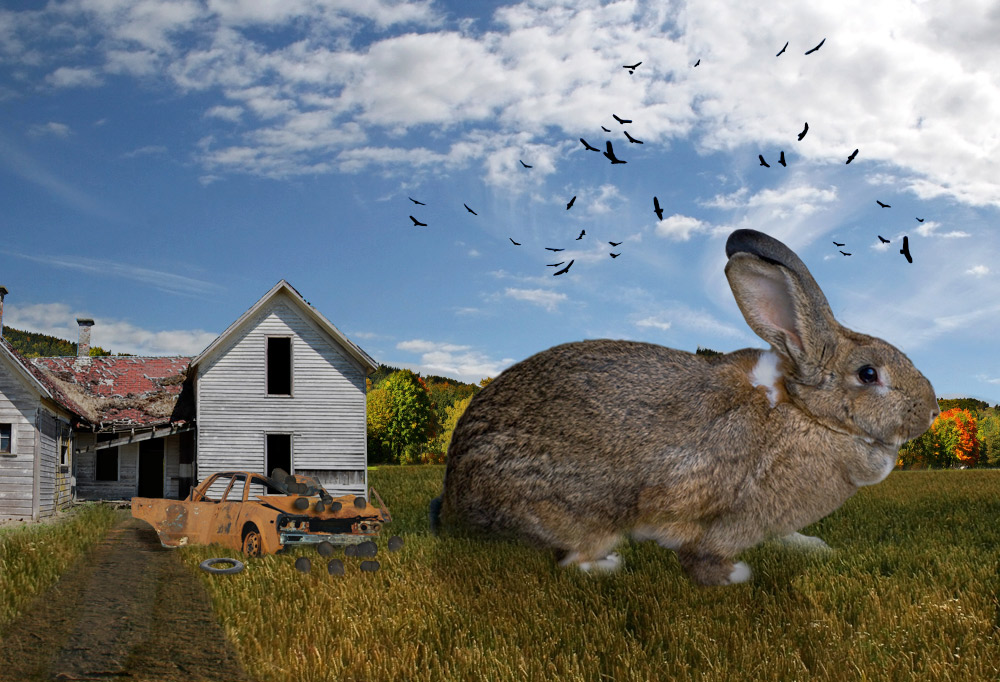 Diseño de Photoshop por JonathanAnderson para DesignCrowd (Community Contests) | Diseño #8938380