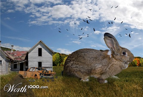 Photoshop Design by JonathanAnderson