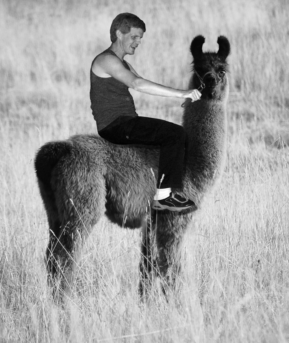 Design Photoshop par MrGert pour DesignCrowd (Community Contests) | Design #8941533