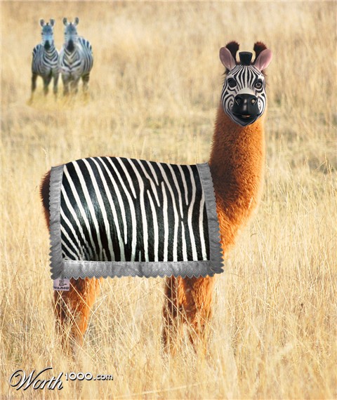 Photoshop Design by pochiex2
