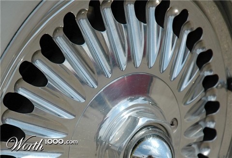 Photography by Larvice