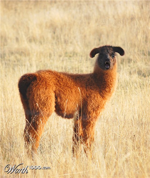 Photoshop Design by Quidebie