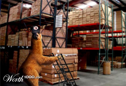 Photoshop Design by brdispatch05