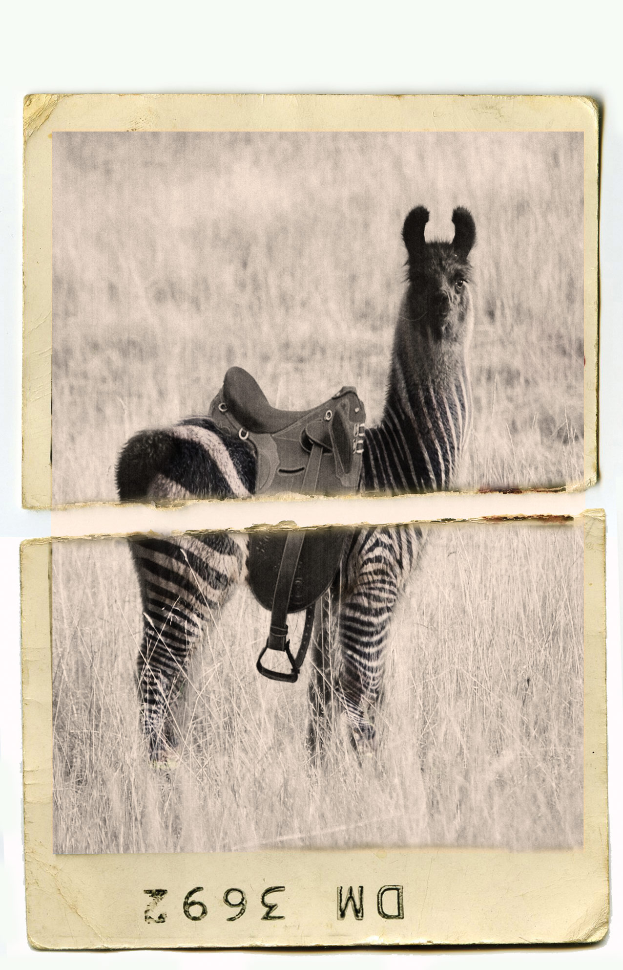 Photoshop Design by robmay82 for DesignCrowd (Community Contests) | Design #8941546