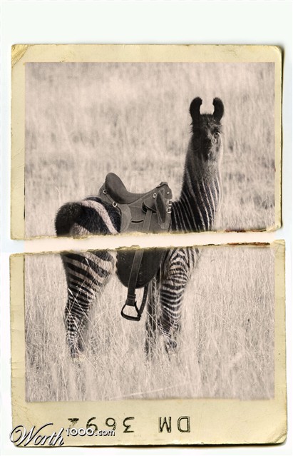 Photoshop Design by robmay82