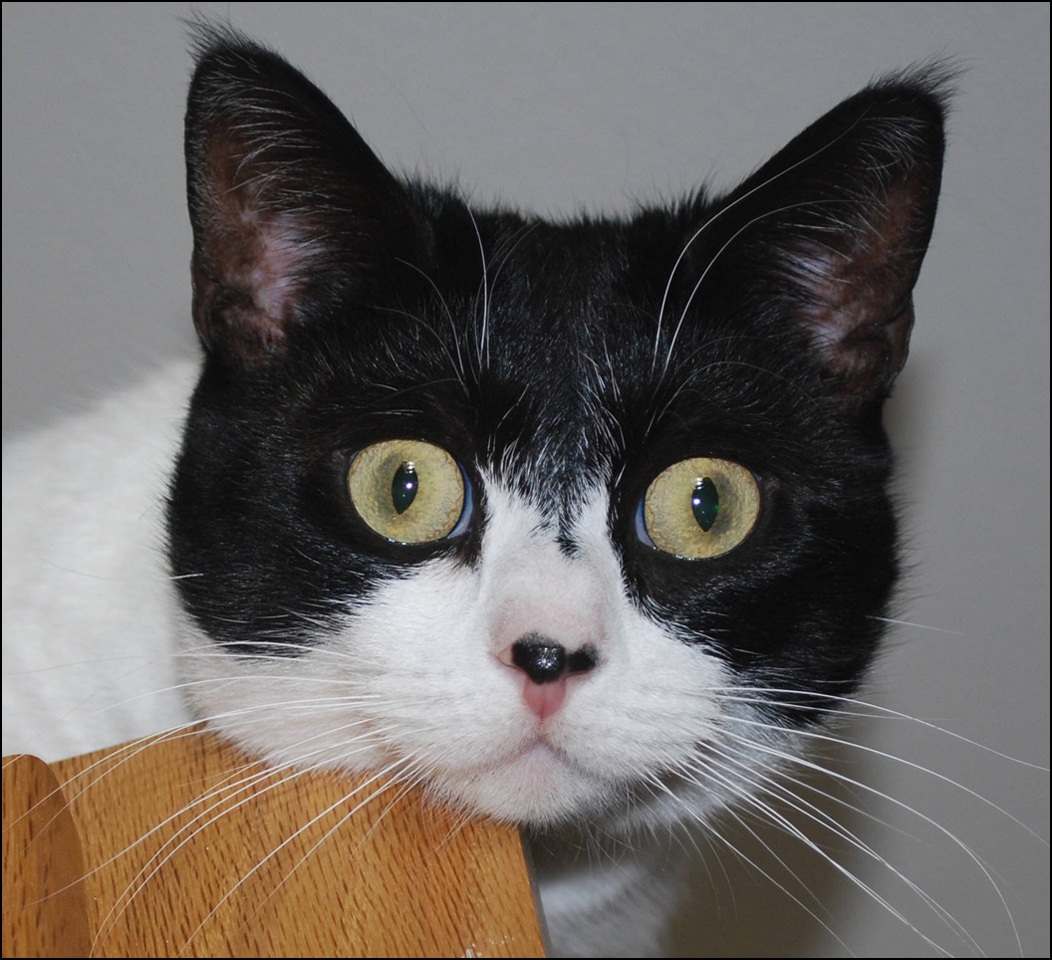 Photography by cliknsnap for DesignCrowd (Community Contests) | Design #8940135