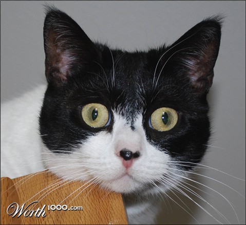 Photography by cliknsnap