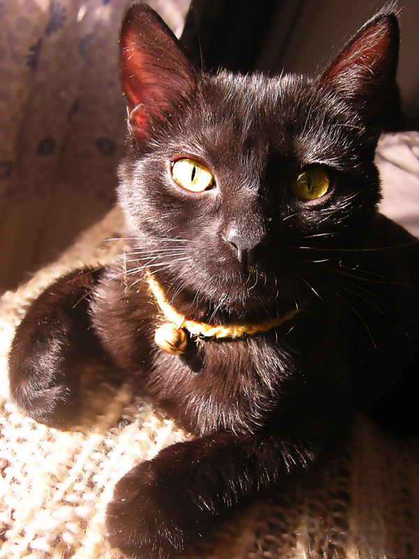 Photography by mpuppett for DesignCrowd (Community Contests) | Design #8940239