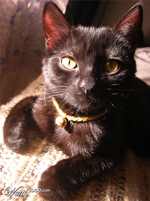 Photography by mpuppett