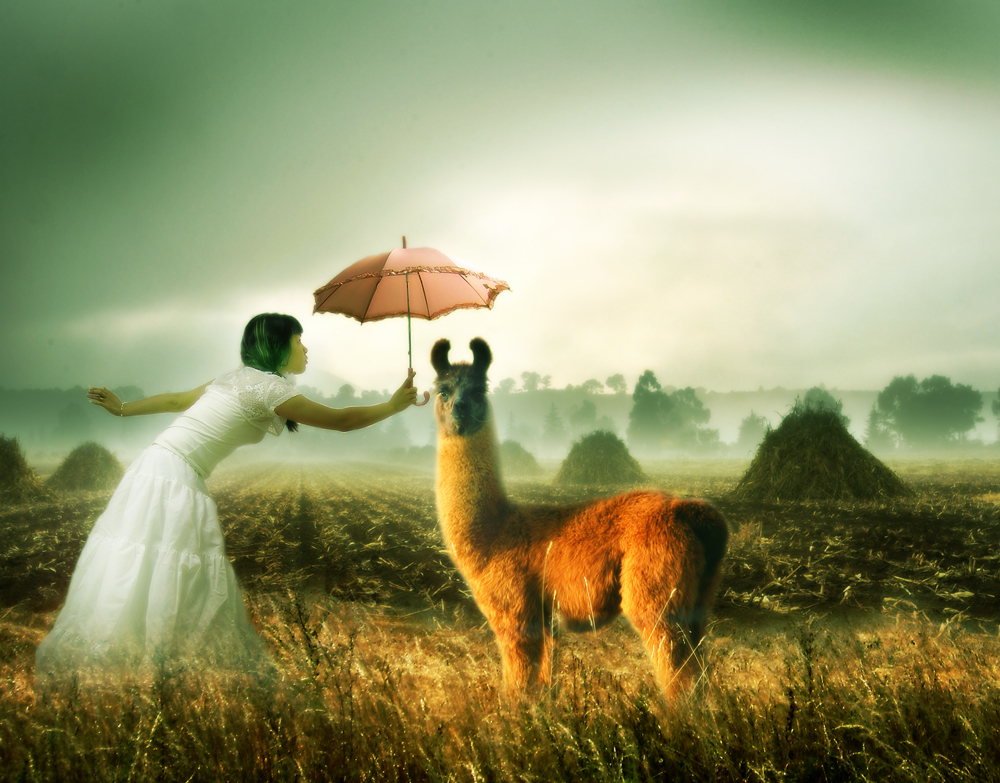 Photoshop Design by hazelann for DesignCrowd (Community Contests) | Design #8941556