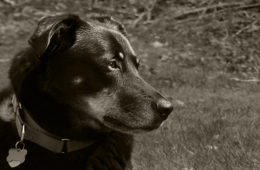 Photography by Feature for DesignCrowd (Community Contests) | Design #8940141