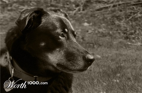 Photography by Feature