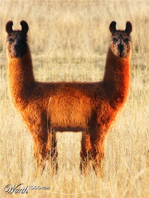 Photoshop Design by Takes2Hands2